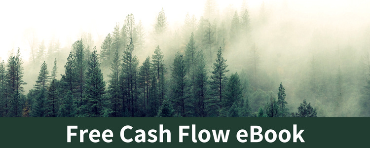 Cashflow 101 pdf free
